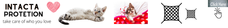 rede de proteção para gatos